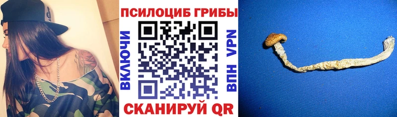 блэк спрут рабочий сайт  Яровое  Галлюциногенные грибы мухоморы  наркотики 